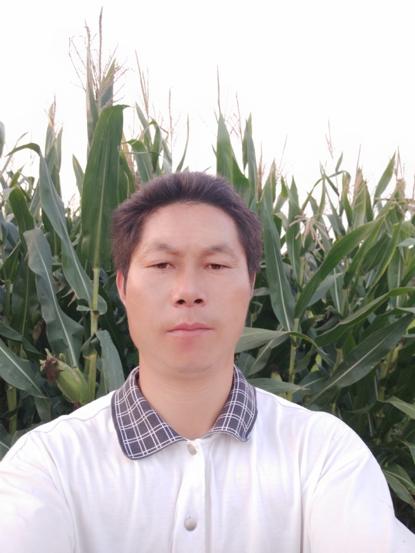 四海游龙的第二张照片--政和交友网