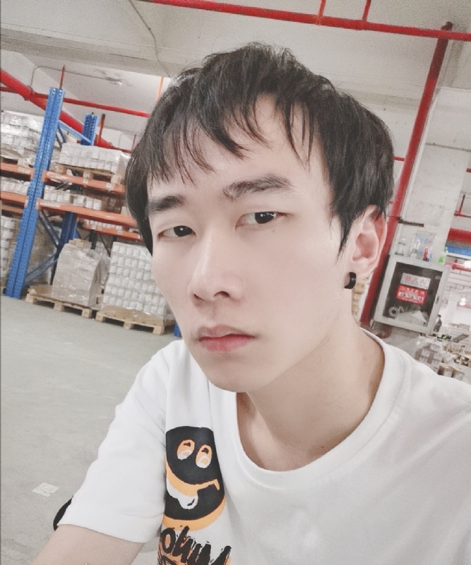 巷子里的猫的第一张照片--政和交友网
