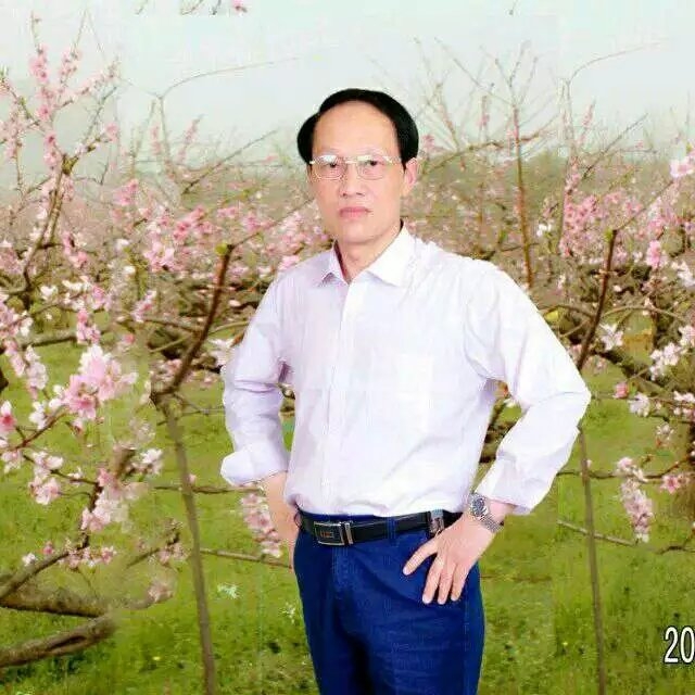 枫叶的第一张照片--政和交友网